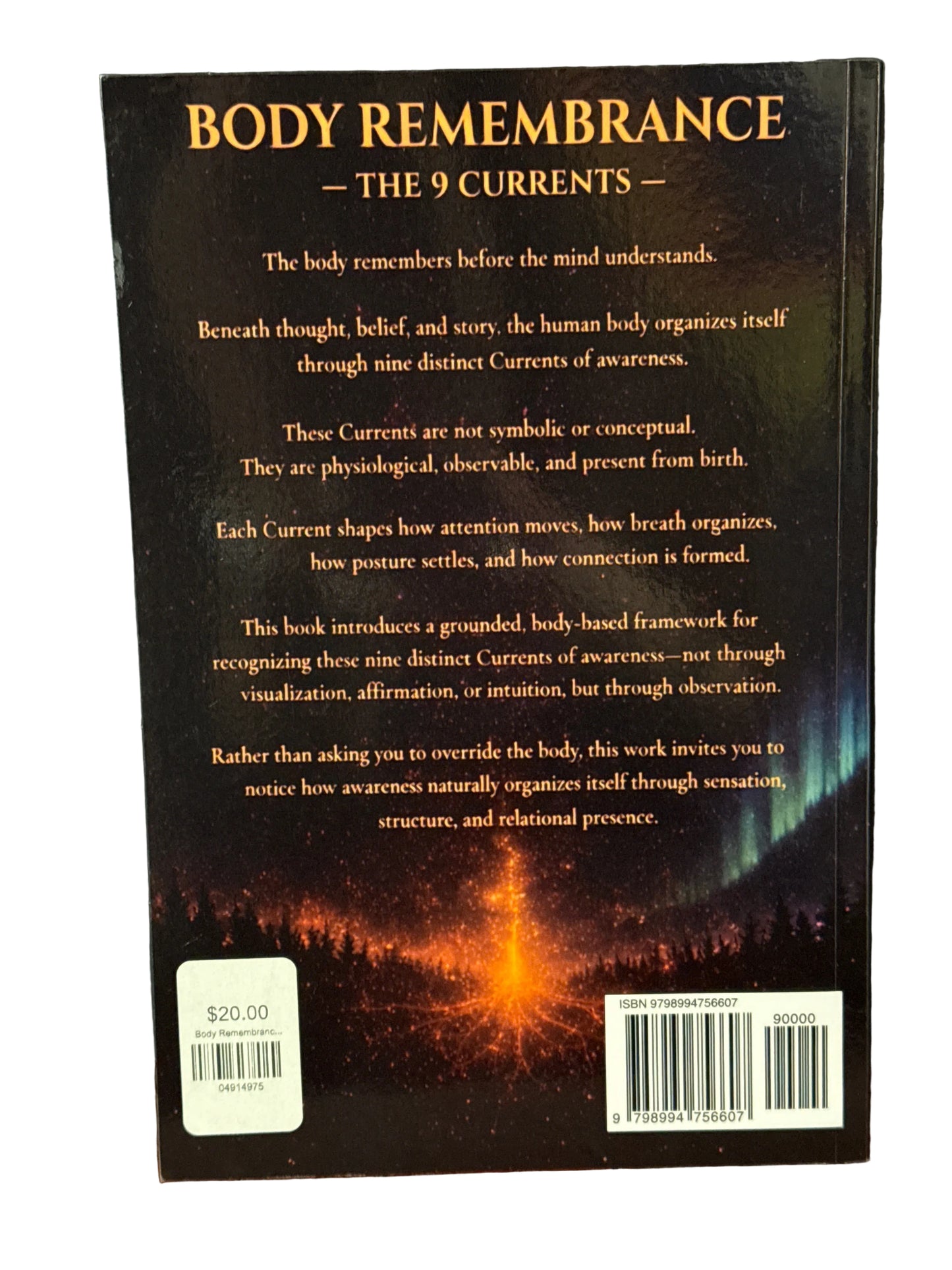 Body Remembrance The 9 Currents (Montana Local Author- Ben Padilla)