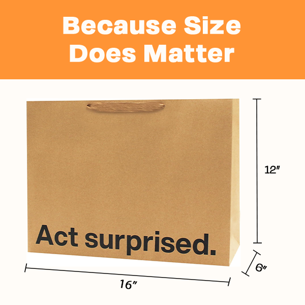Act Surprised Funny Large Gift Bag