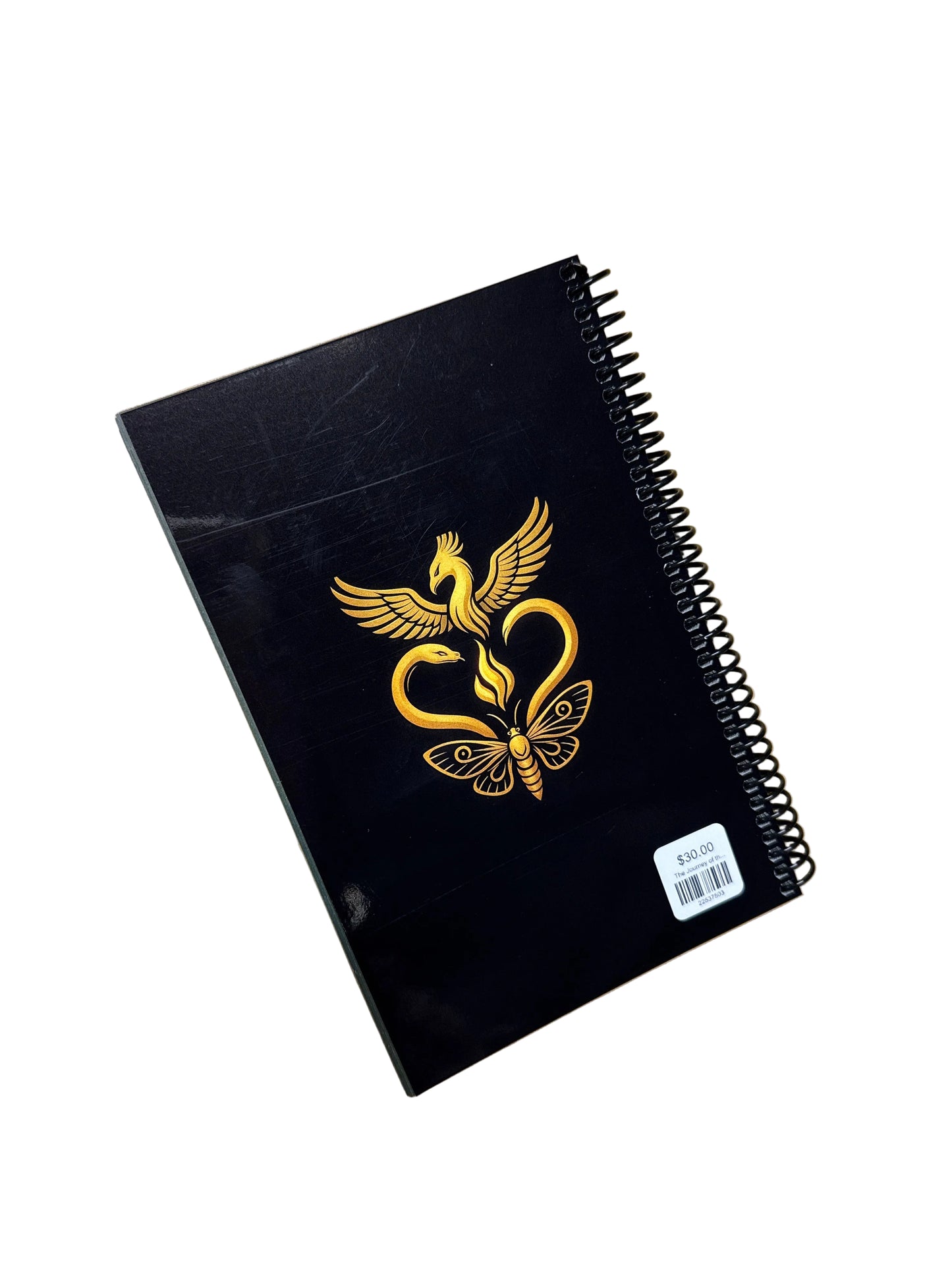 The Journey of the Moth Awaken In the Dark Journal