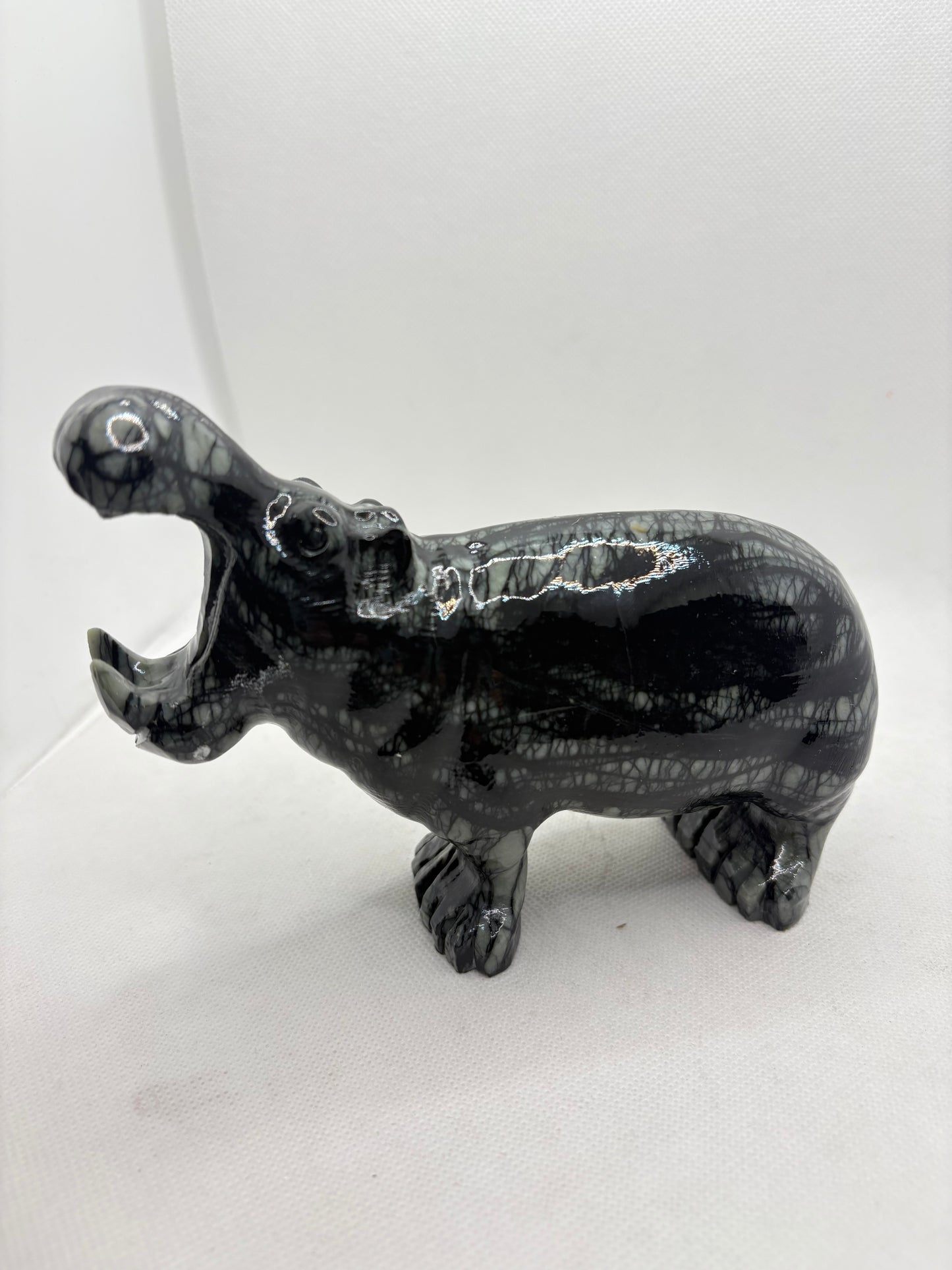 Hippo Serpentine