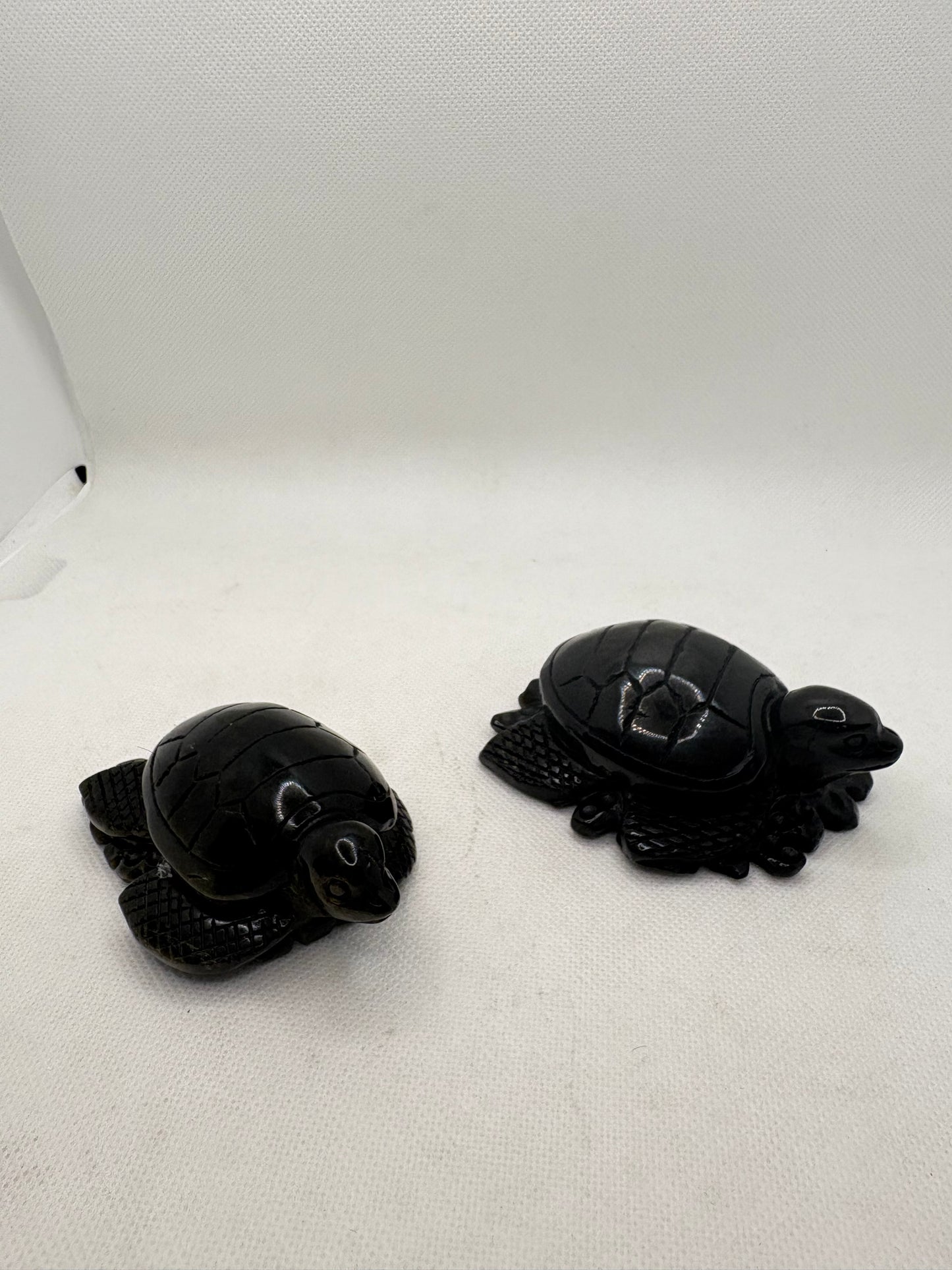 Obsidian Turtle