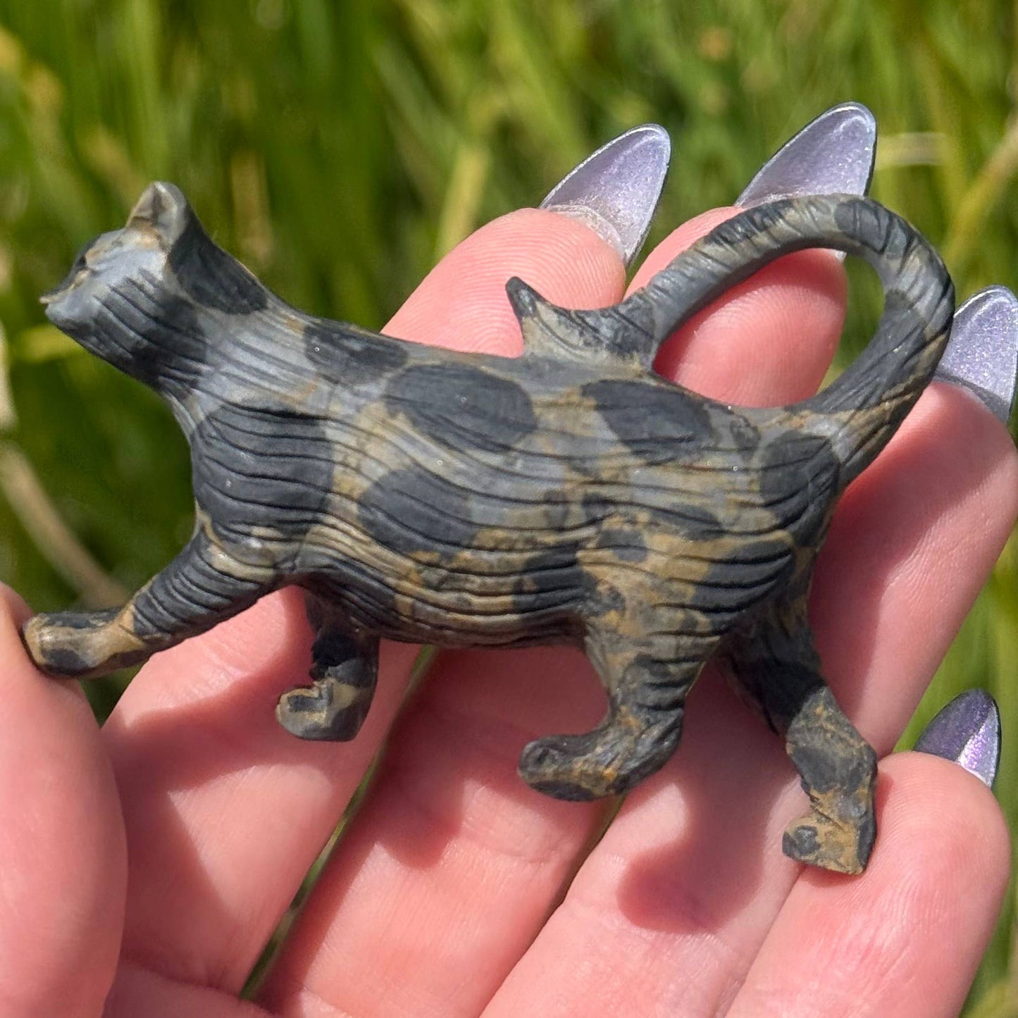 Leopard Jasper Strolling Cat