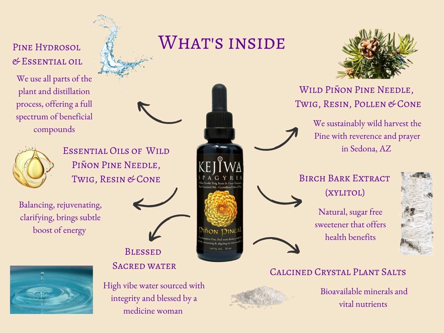 Piñon Pineal Spagyria: Pine Herbal Tincture