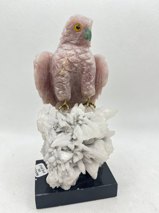 Bird on Perch
