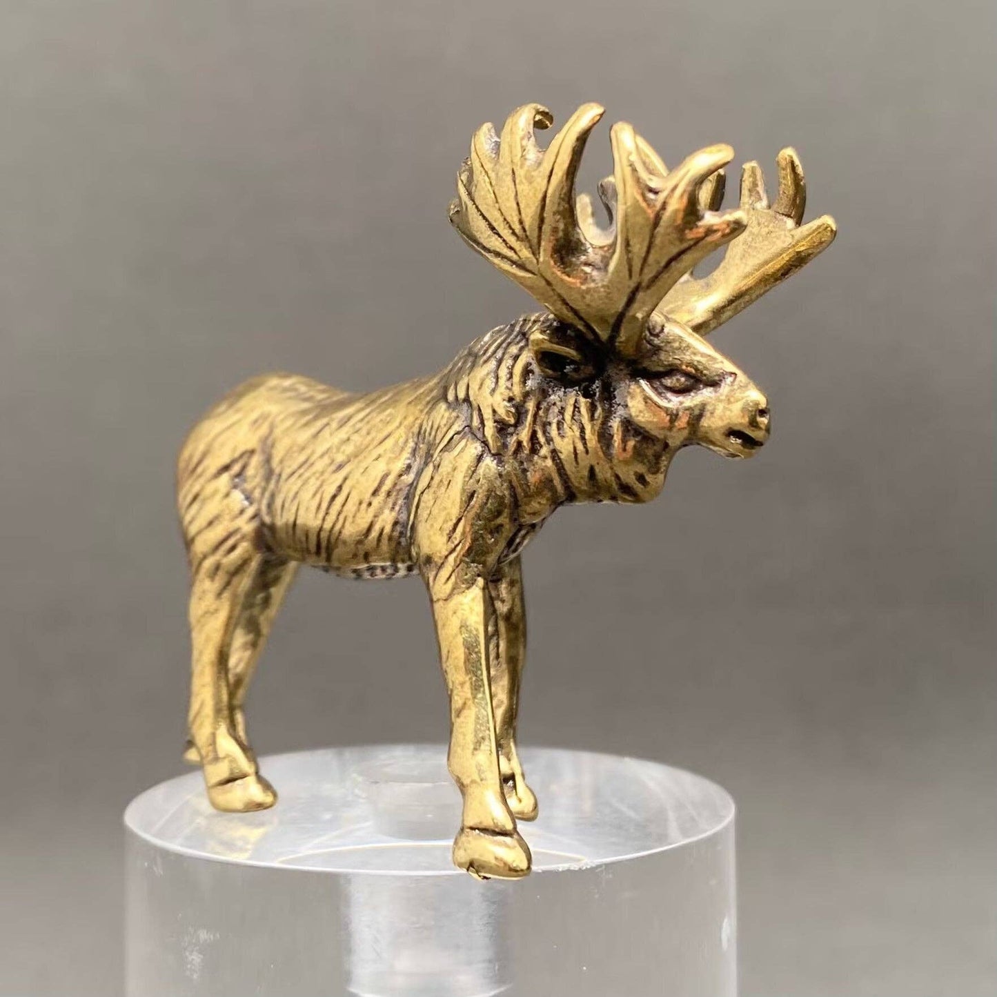 Brass Moose Crafts Decoration Desktop Ornaments