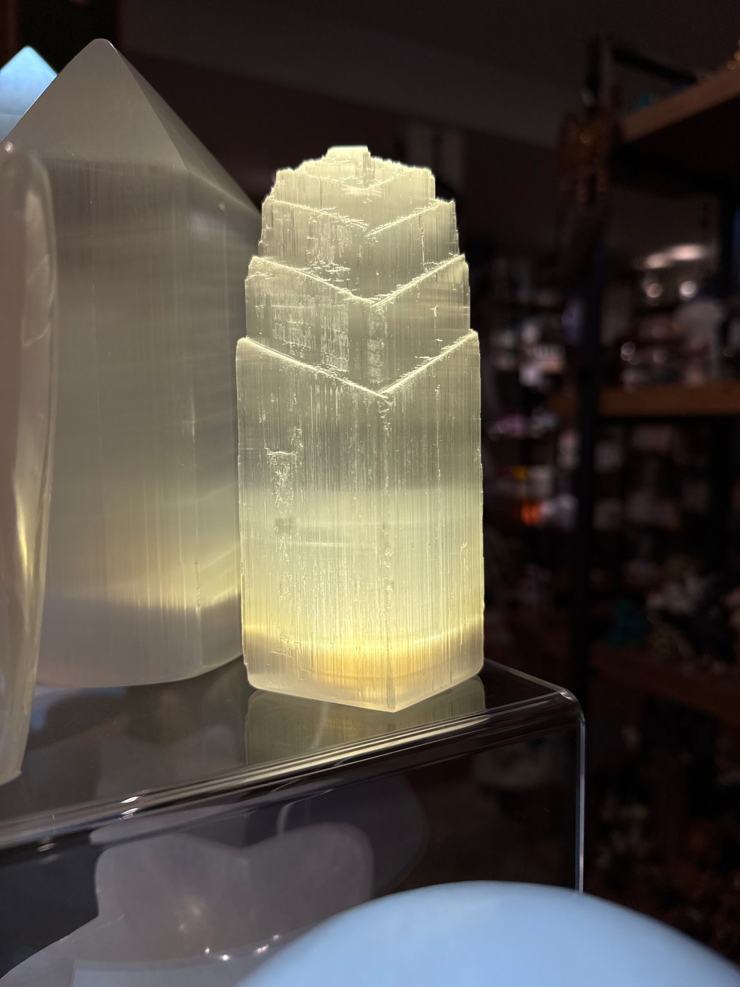 Selenite Fishtail Lamp Light