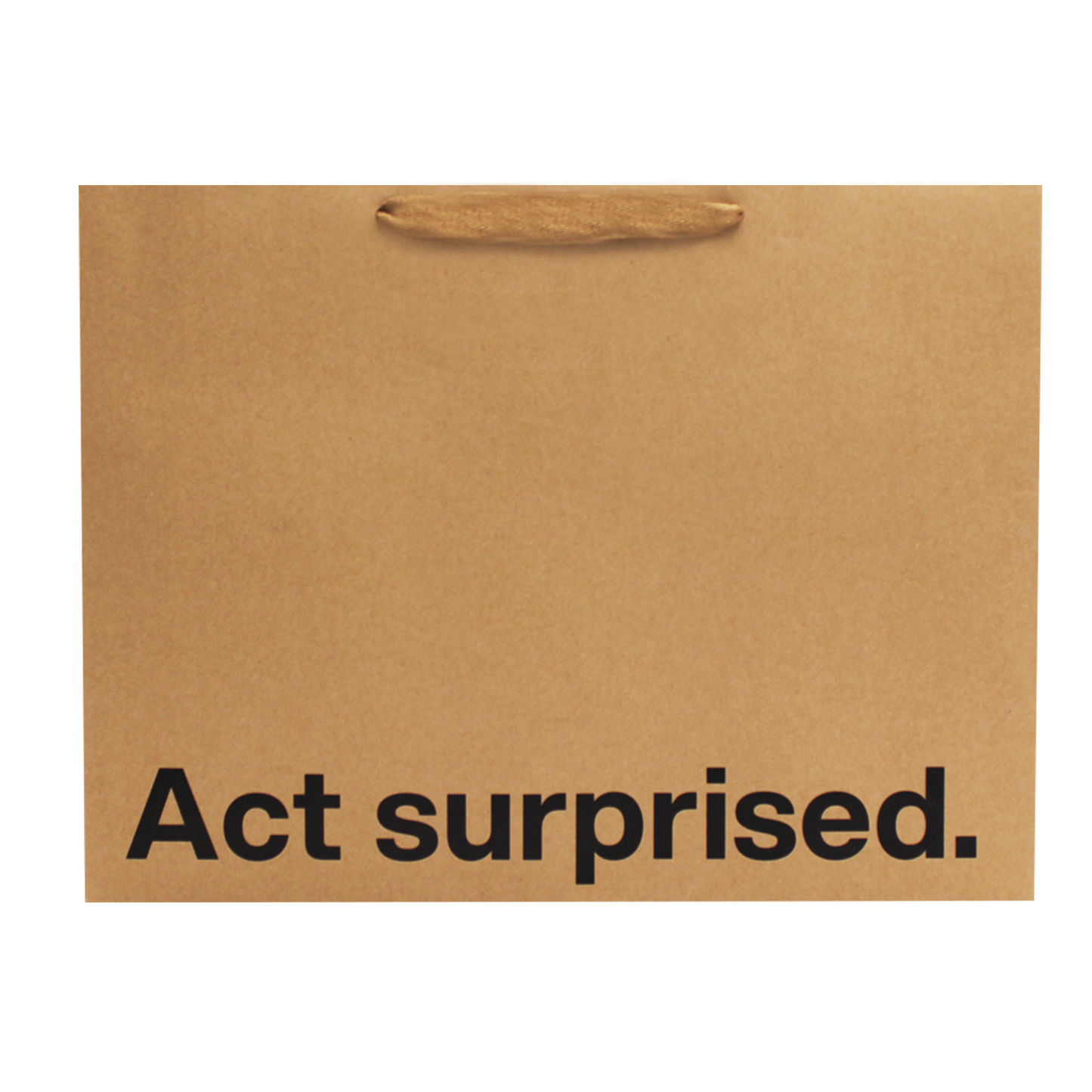 Act Surprised Funny Large Gift Bag