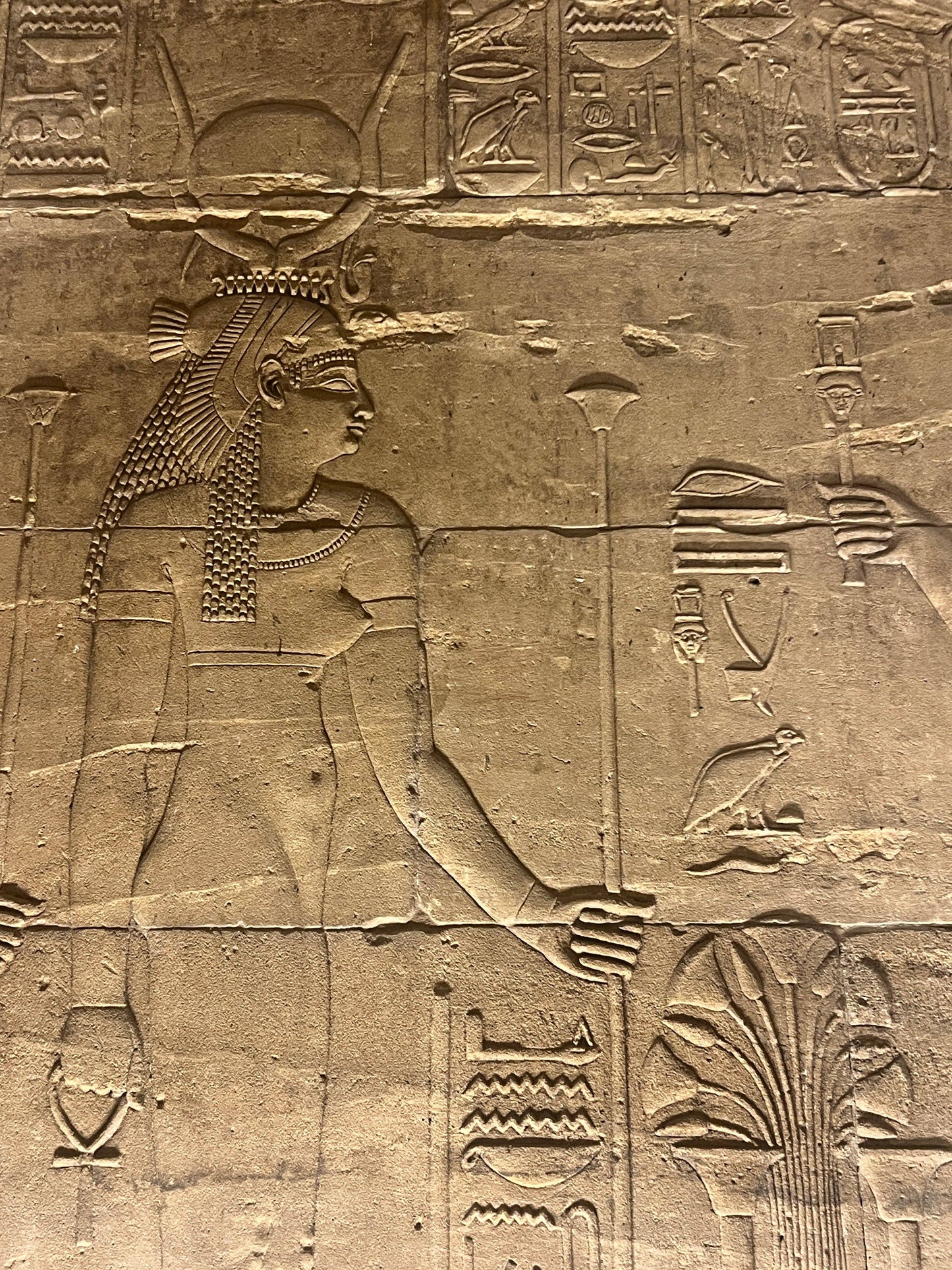 Hathor Black Basalt