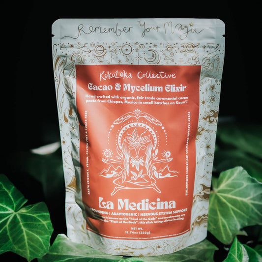 La Medicina Cacao 666g