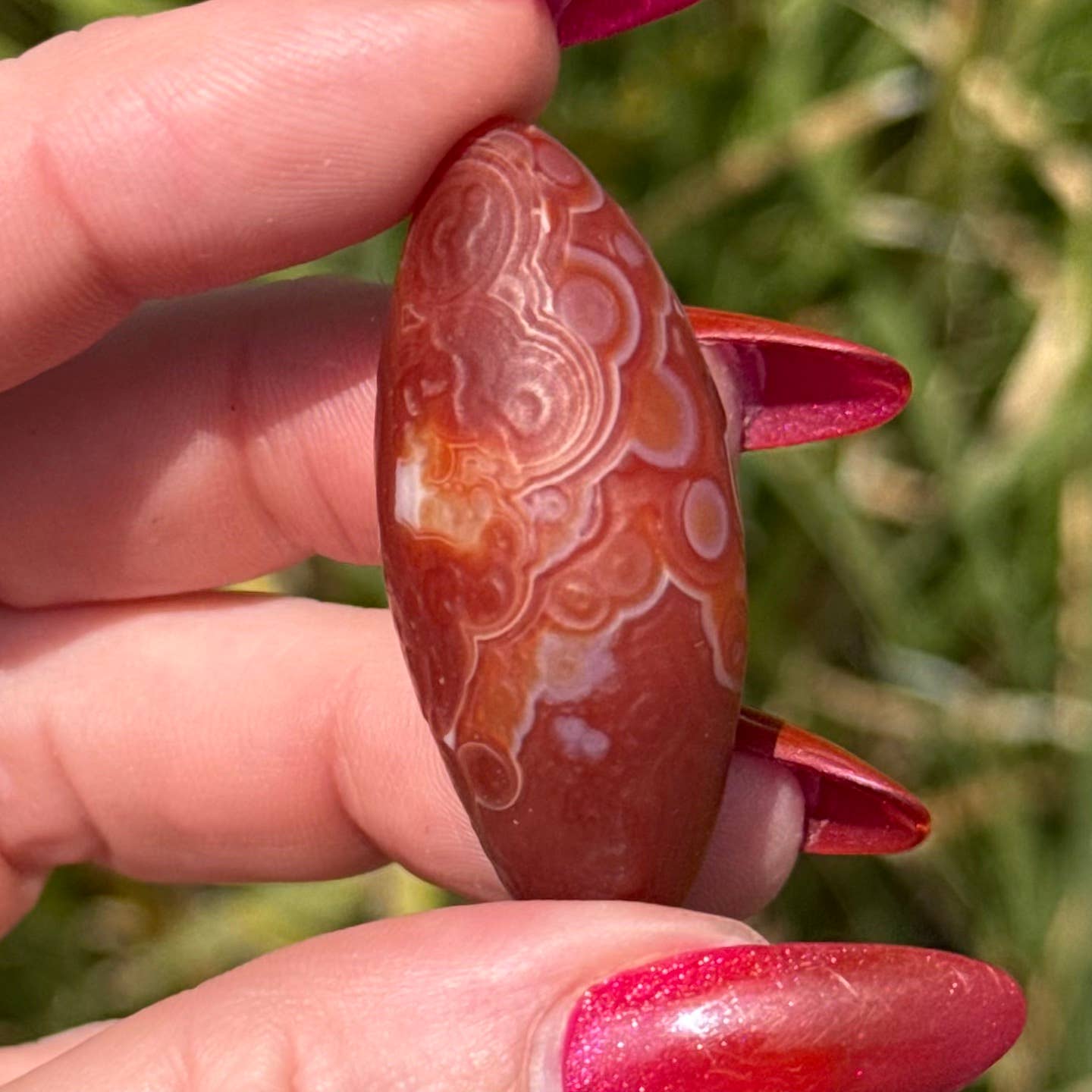 Gobi Agate Specimen