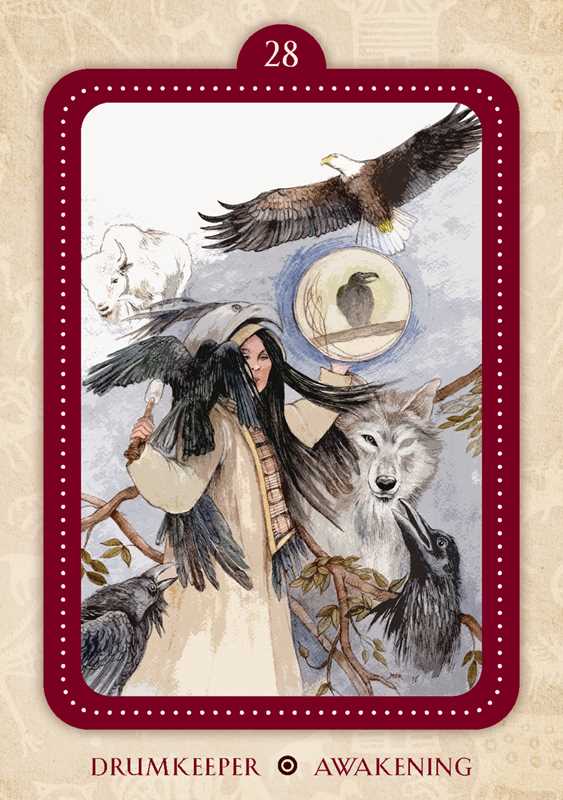 Spirit of the Drum Oracle by Barbara  Meiklejohn-Free: Flashcards; 136 pages / English