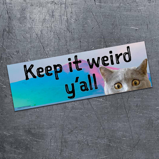Keep It Weird Y'all magnet