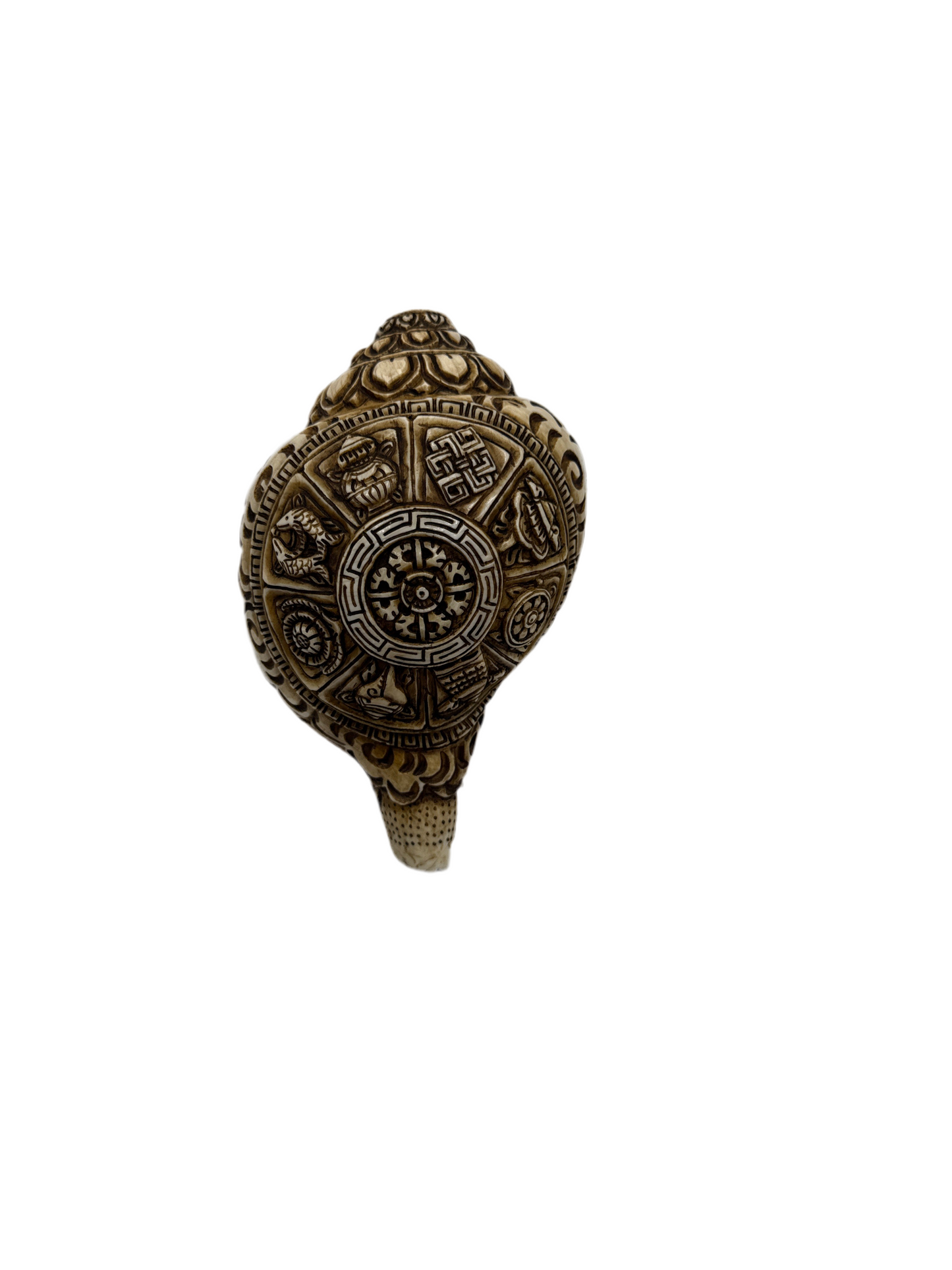 Sankha Conch Shell- various options-playable instruments