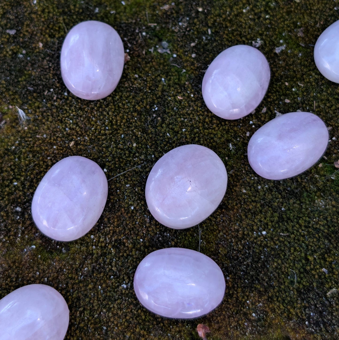 Kunzite Flatback Cabochons
