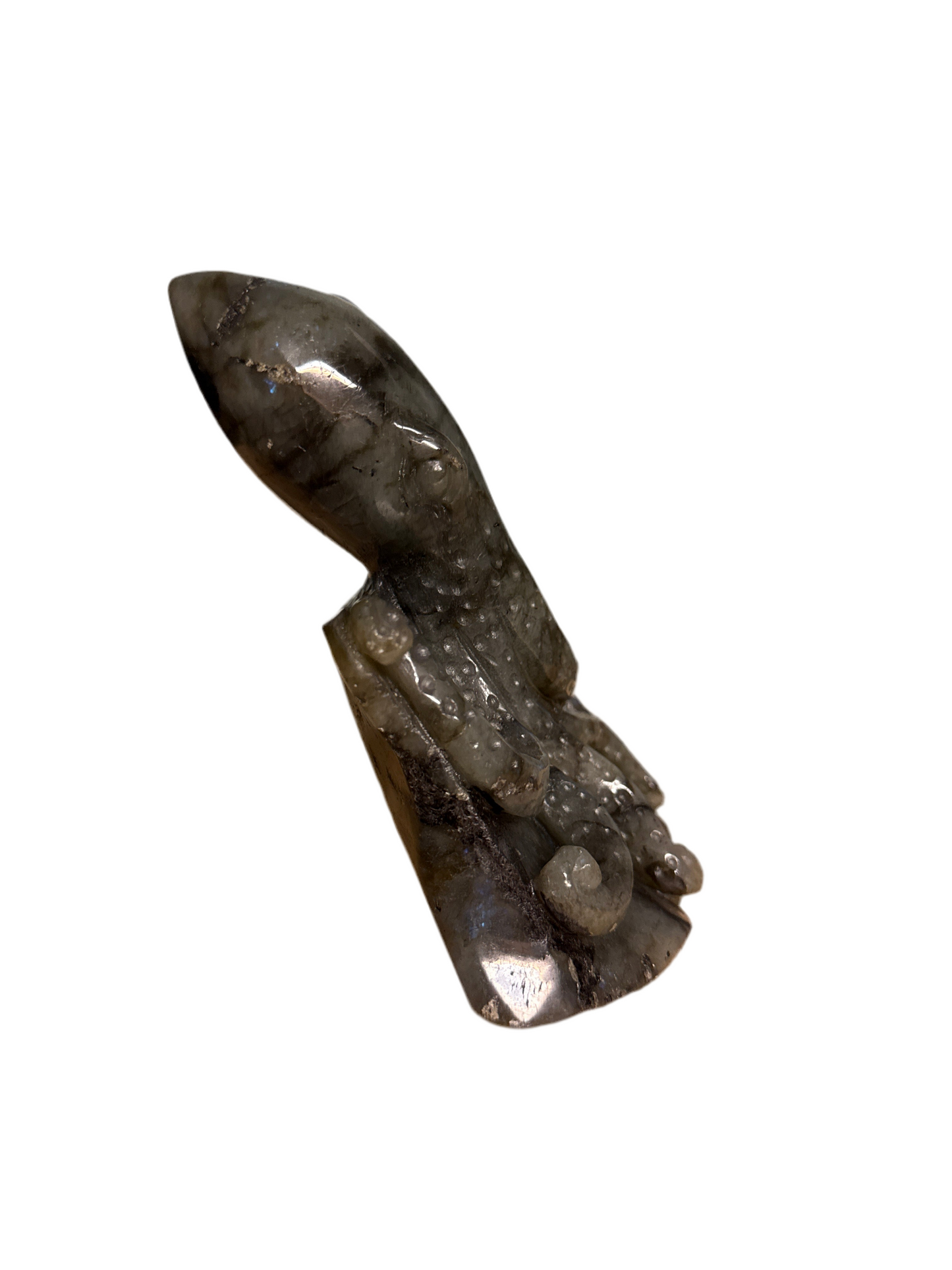 Octopus Labradorite
