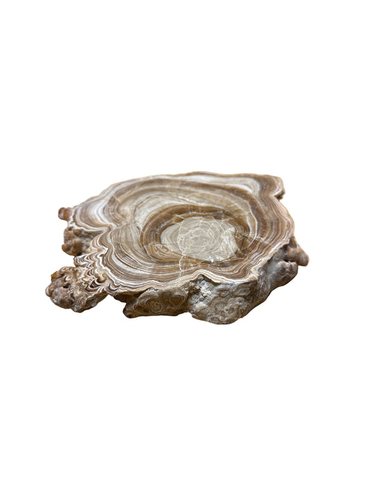 Chocolate Calcite Slab Large