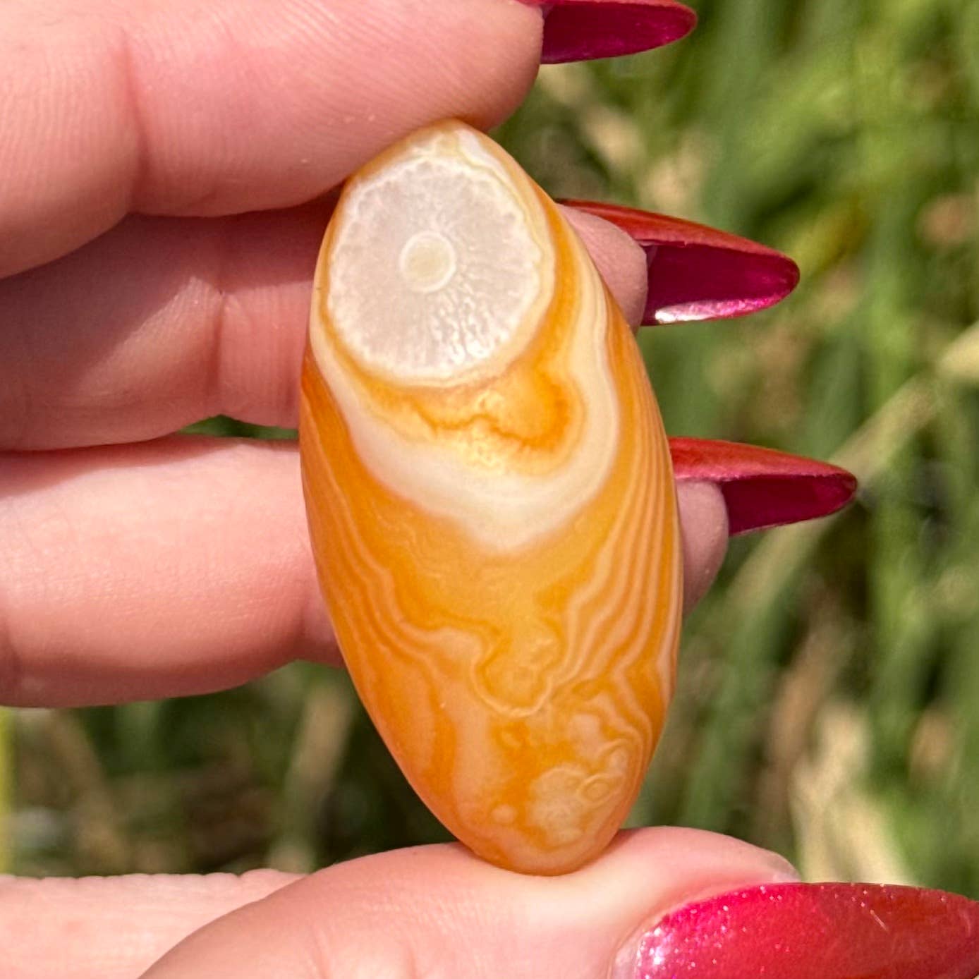 Gobi Agate Specimen