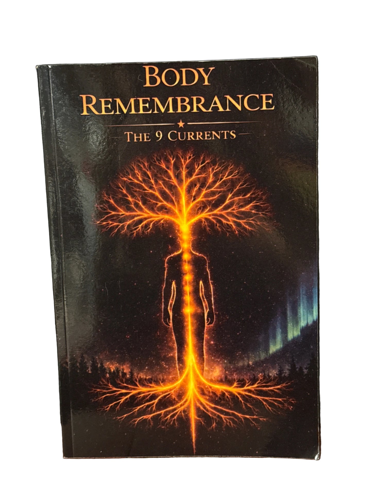 Body Remembrance The 9 Currents (Montana Local Author- Ben Padilla)