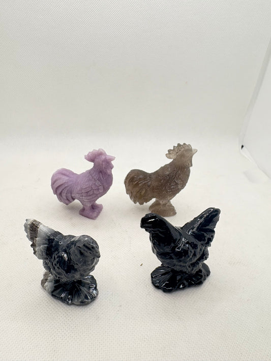 Rooster