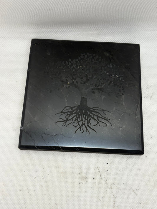 Shungite Charging Plate with Symbols