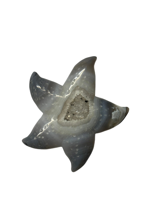 Agate Starfish 4.5" x 4.5"