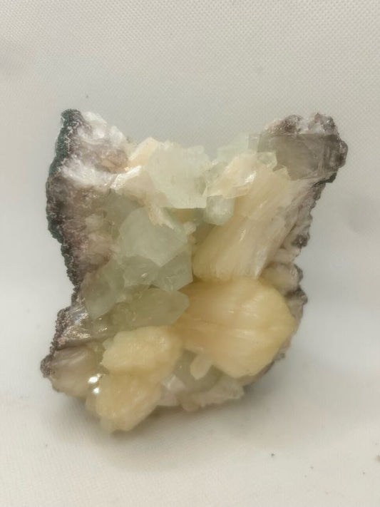 Stillbite