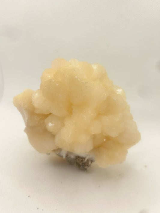 Stillbite