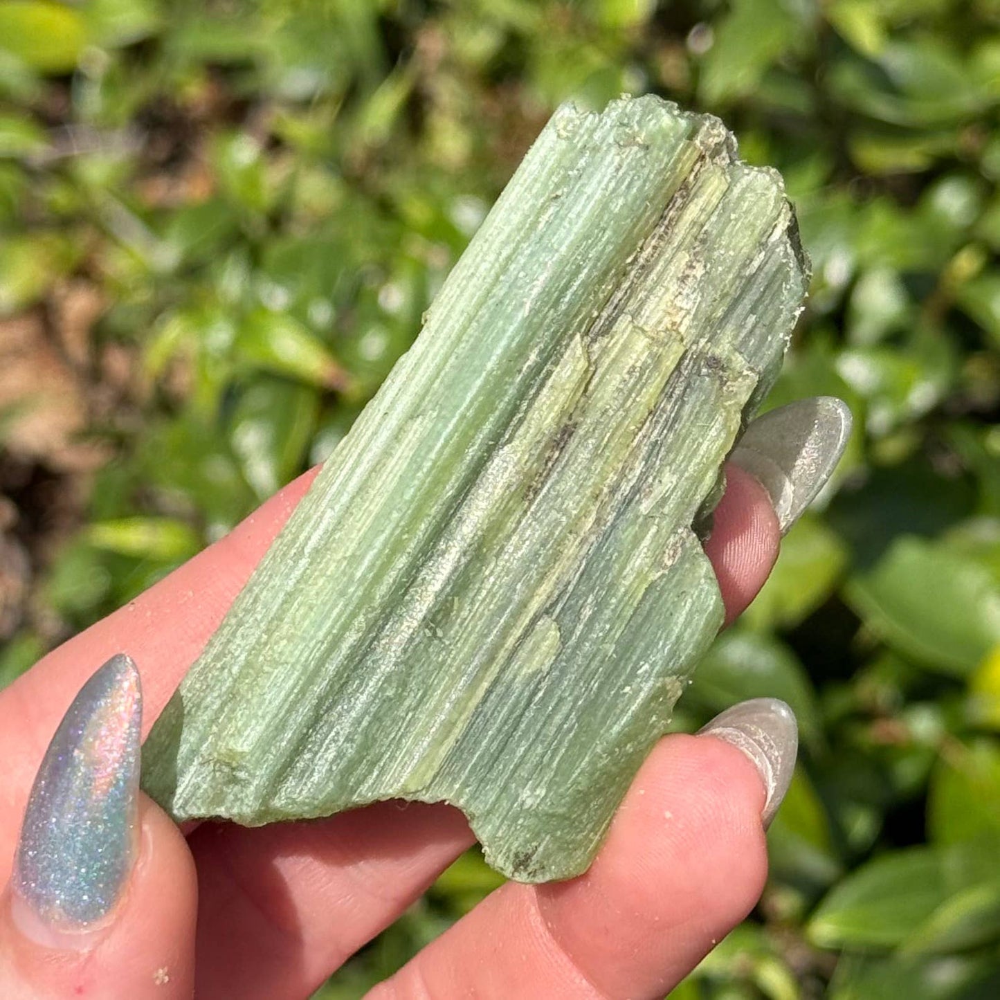 Green Tremolite