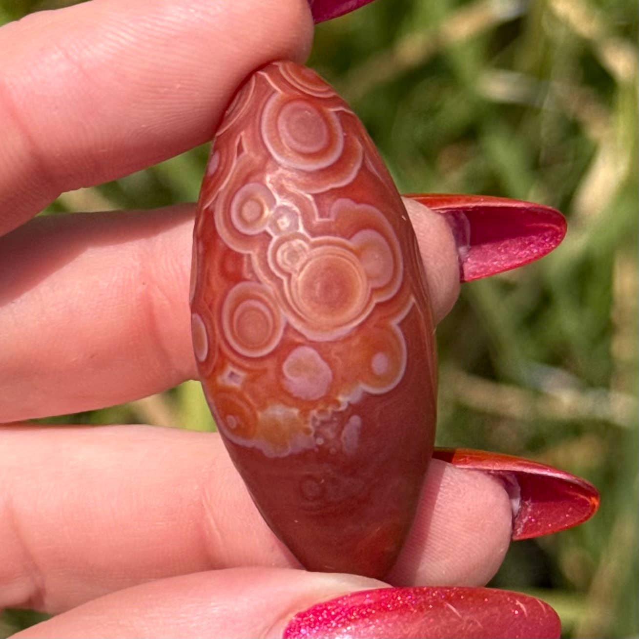 Gobi Agate Specimen