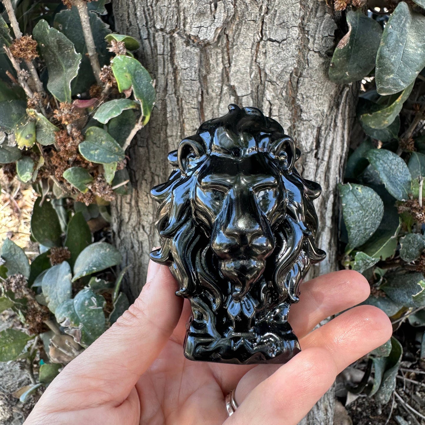 Leo the Obsidian Lion - Sold Individually