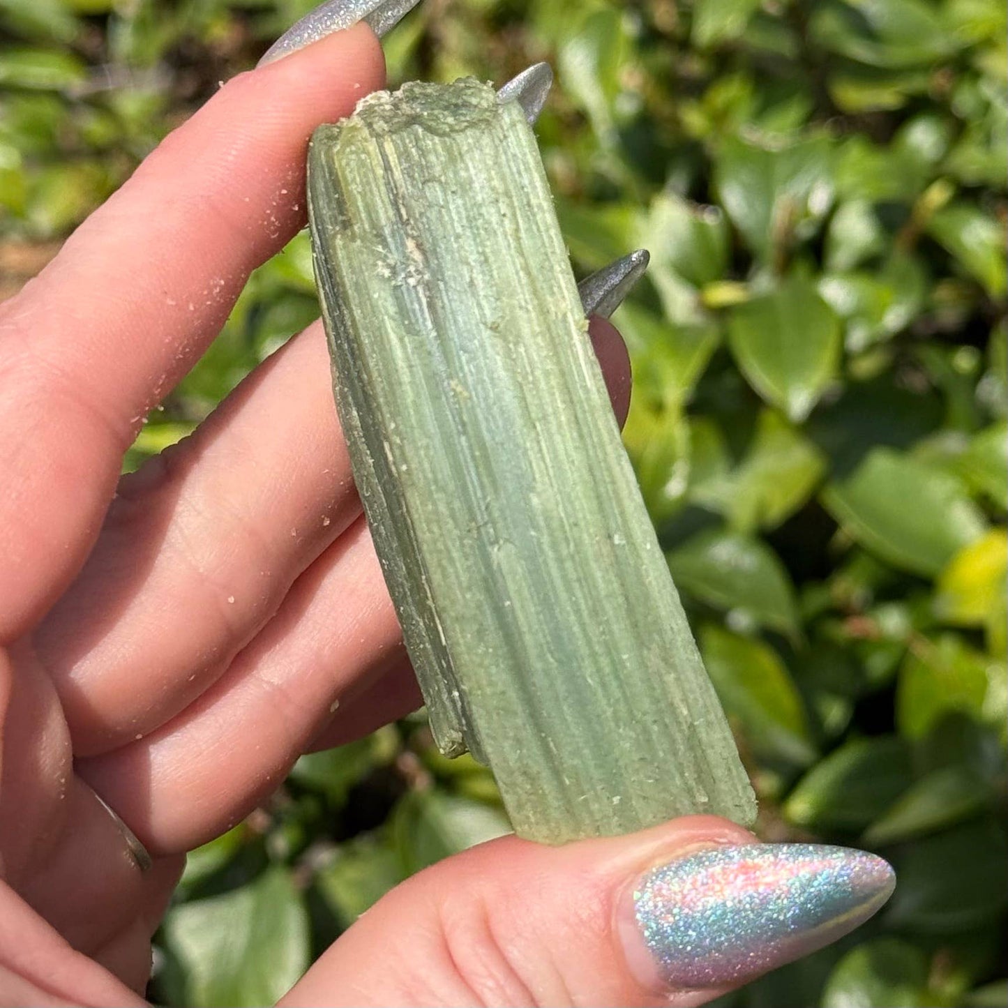 Green Tremolite