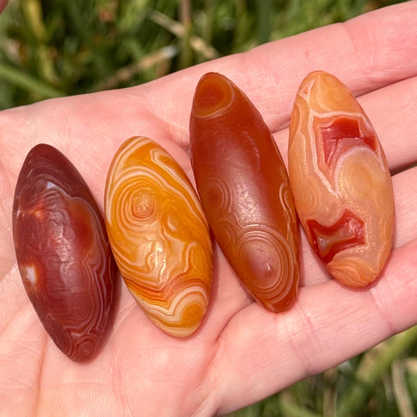 Gobi Agate Specimen