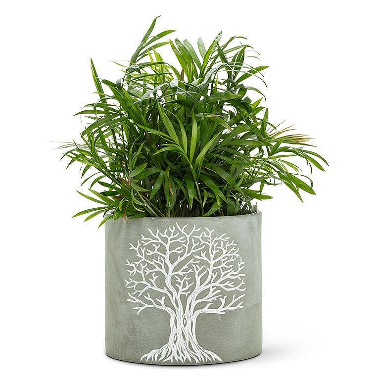 Tree of Life Planter - Folk-Art Style Graphic