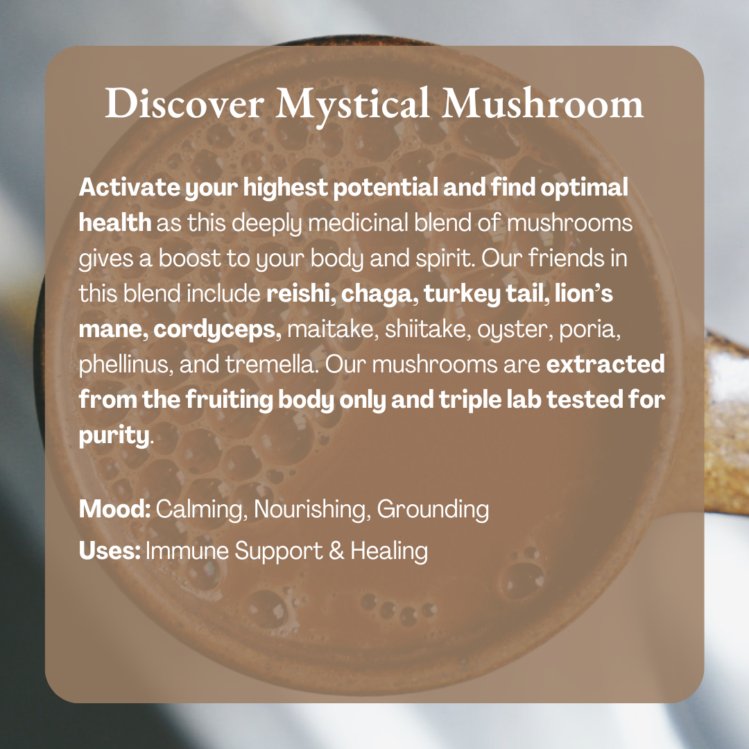 Ceremonial Cacao Sachets | Mystical Mushroom 100% Organic