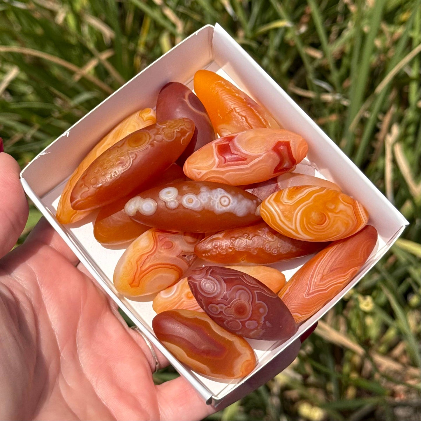 Gobi Agate Specimen