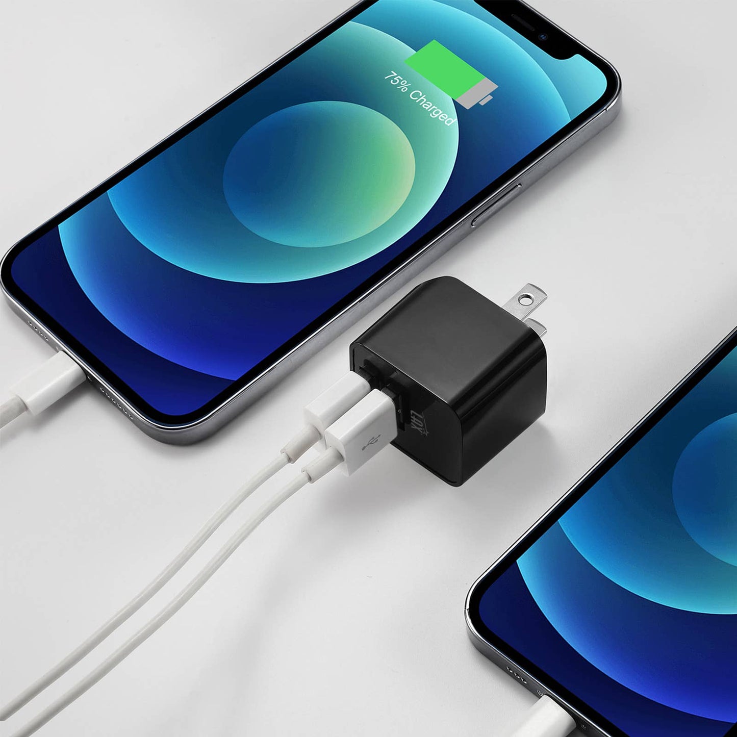 LAX Fast Charging 2 Port USB Wall Charger Retail Pack: Rose Gold