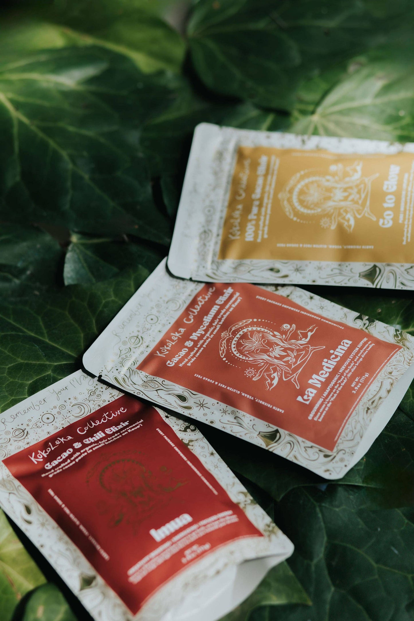La Medicina - Medicinal Mushrooms Ceremonial Cacao Elixir: 333g