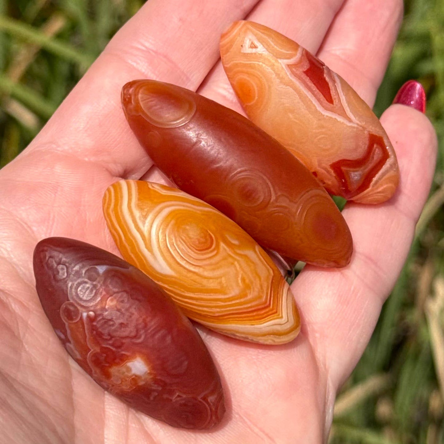Gobi Agate Specimen