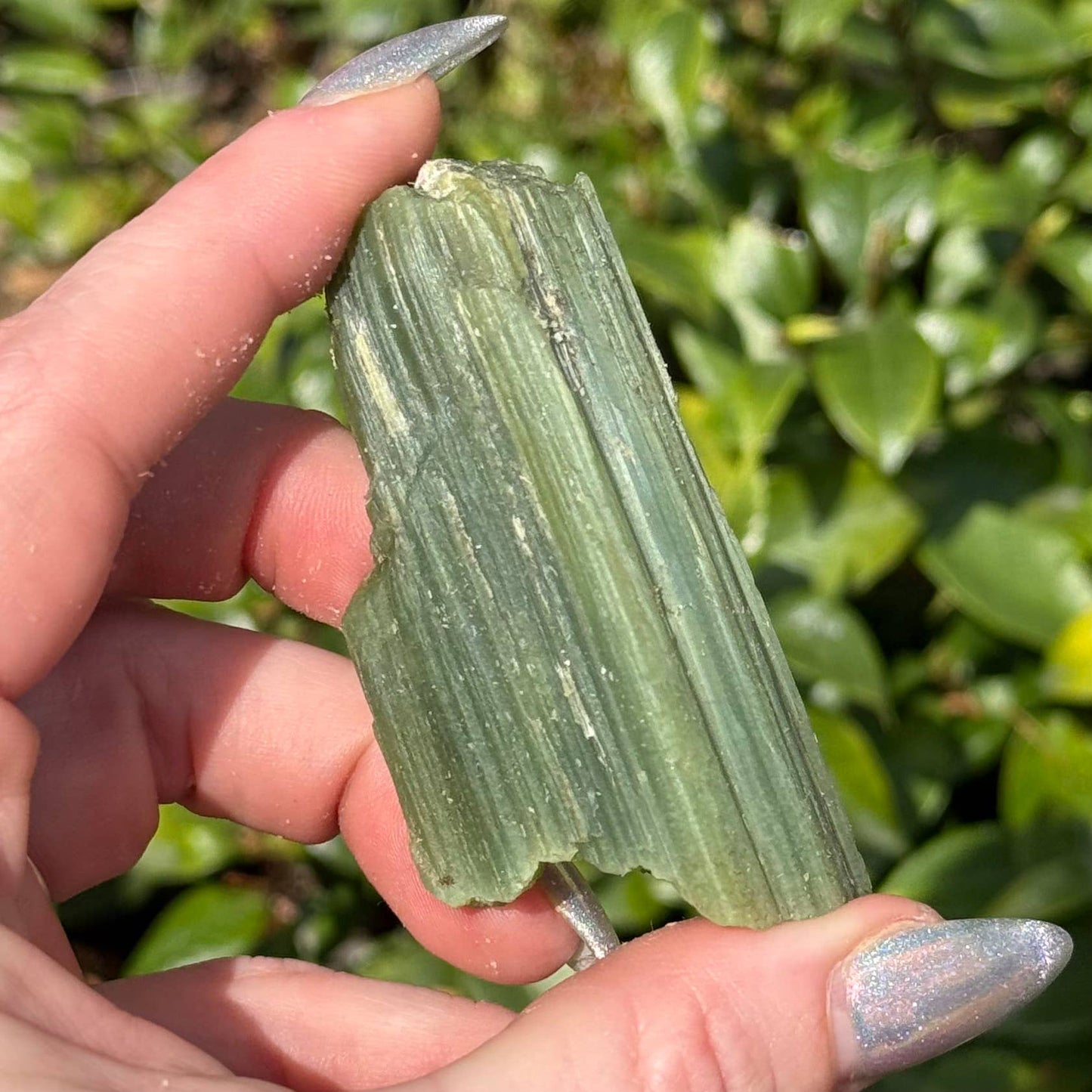 Green Tremolite