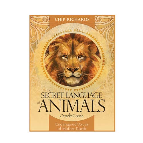 The Secret Language Of Animals Oracle Cards Blue Angel