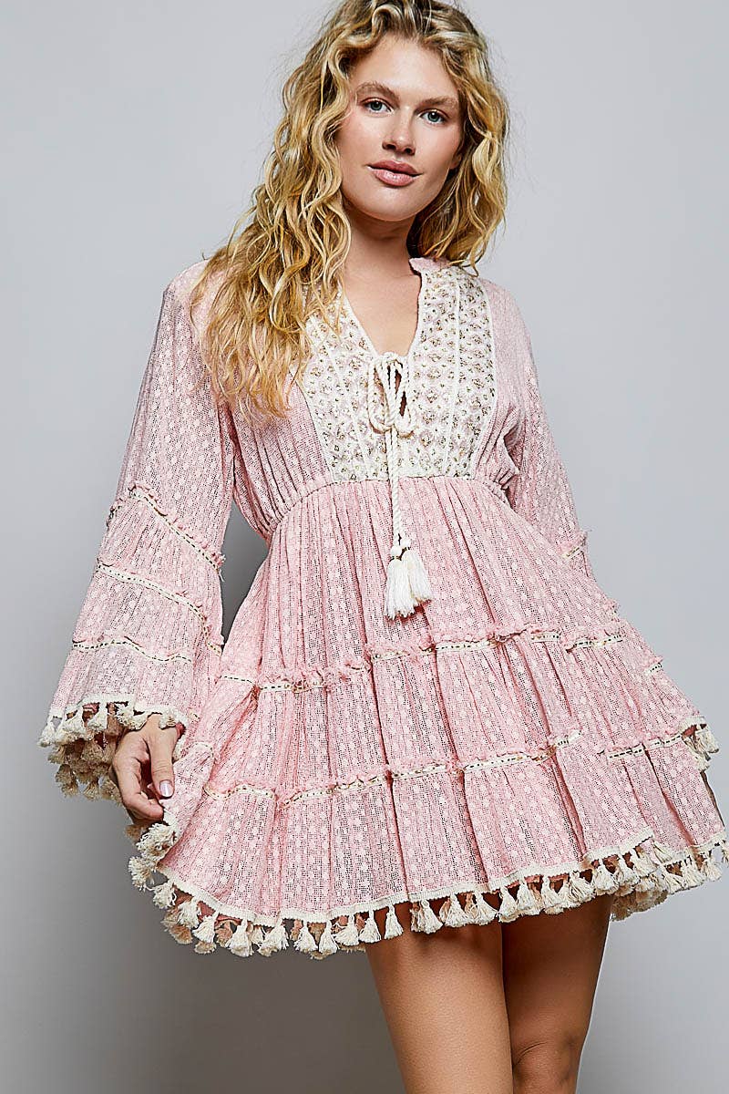 Split Embroidery Tassel Detail V-Neck Flared Short Dress