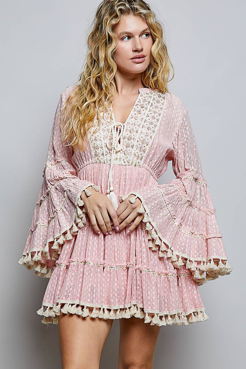 Split Embroidery Tassel Detail V-Neck Flared Short Dress