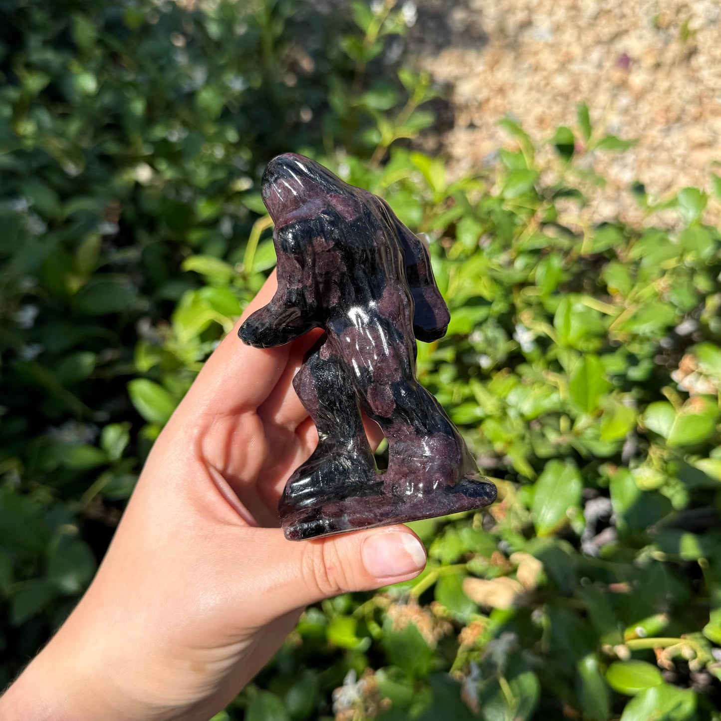 Garnet Arfvedsonite Sasquatch 