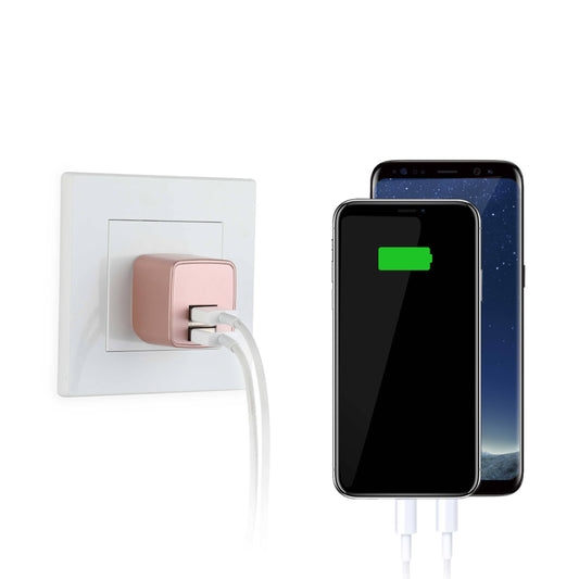 LAX Fast Charging 2 Port USB Wall Charger Retail Pack: Rose Gold