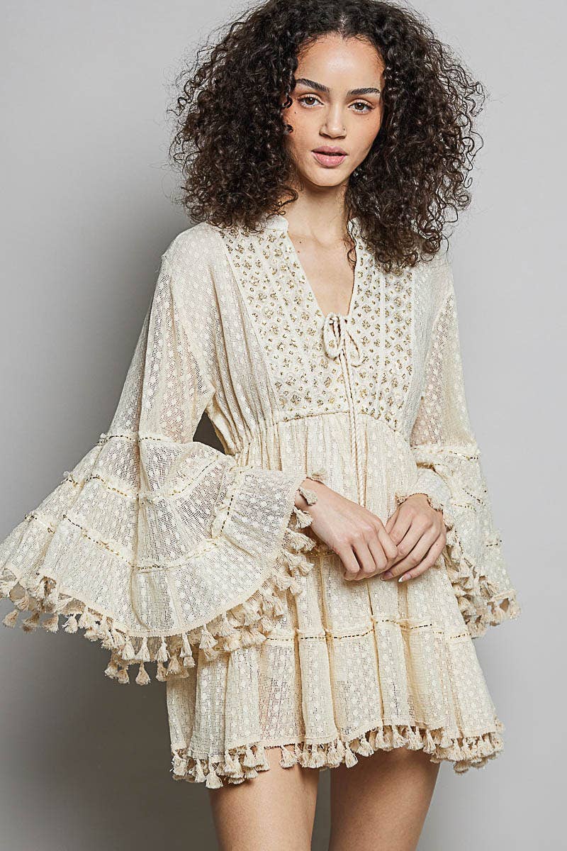 Split Embroidery Tassel Detail V-Neck Flared Short Dress