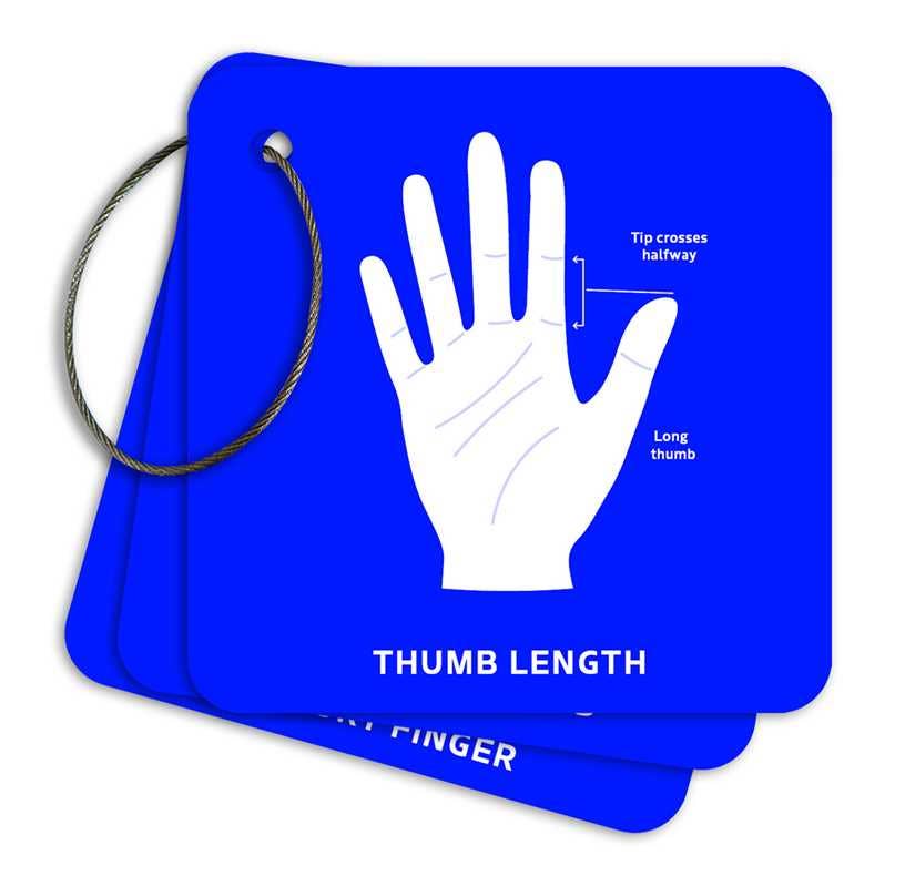 Palmistry Flashcards by Anna  Comerford: Flashcards; 51 pages / English