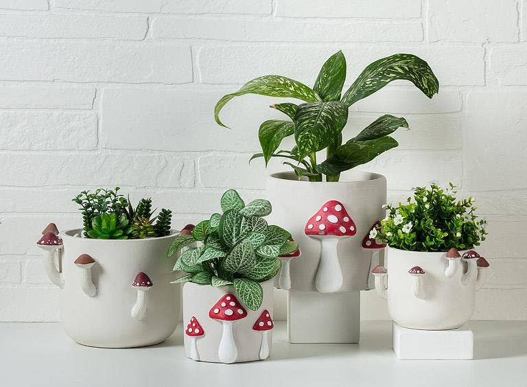 Sprouting Mushroom Planter-6"H