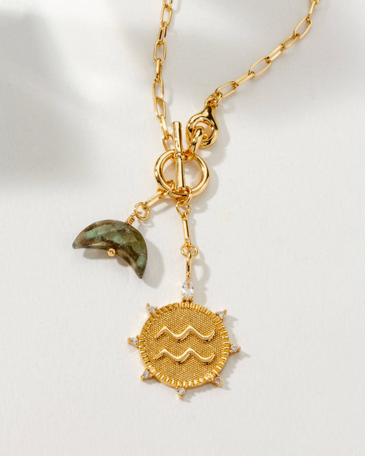 Aquarius Lunar Front Toggle Zodiac Necklace