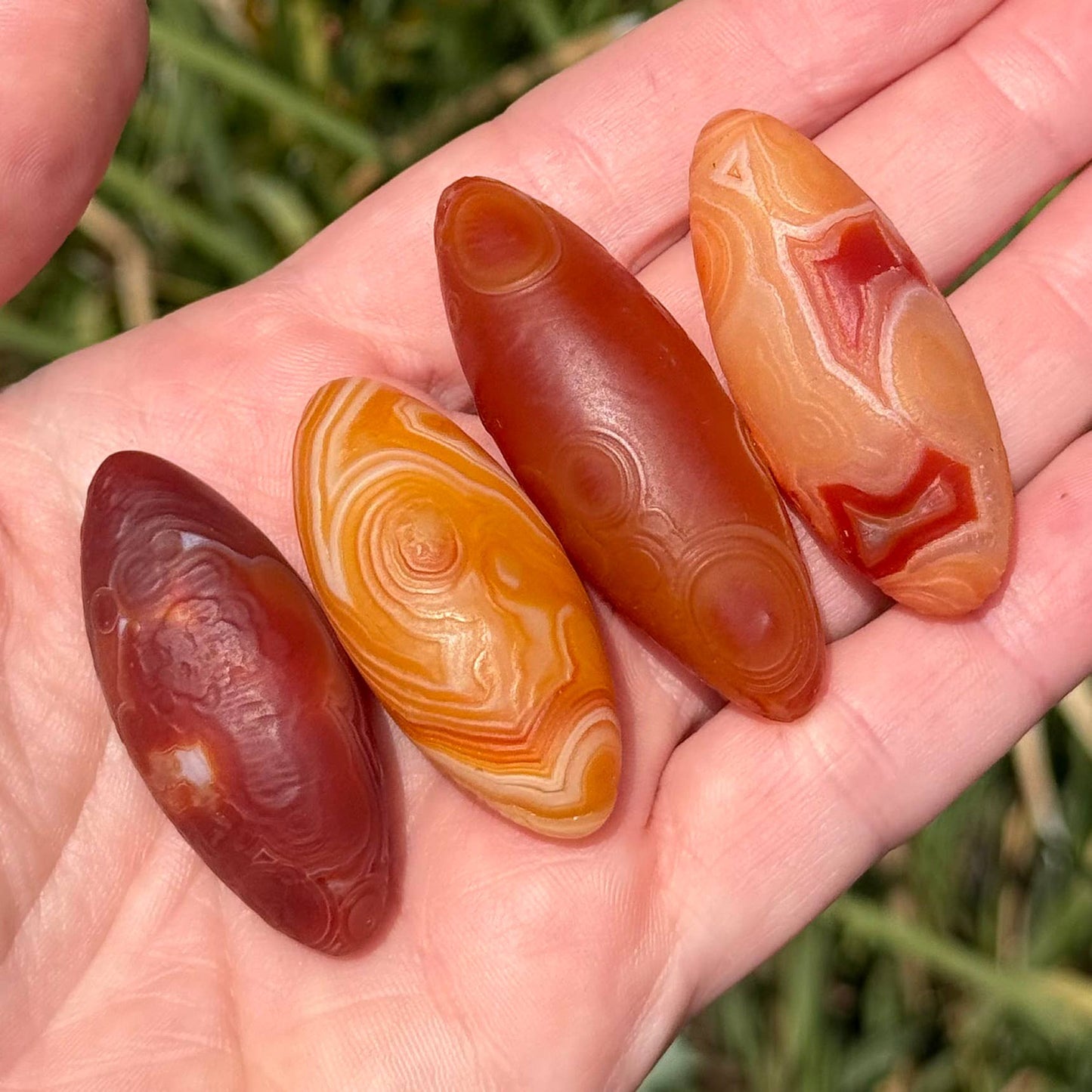 Gobi Agate Specimen