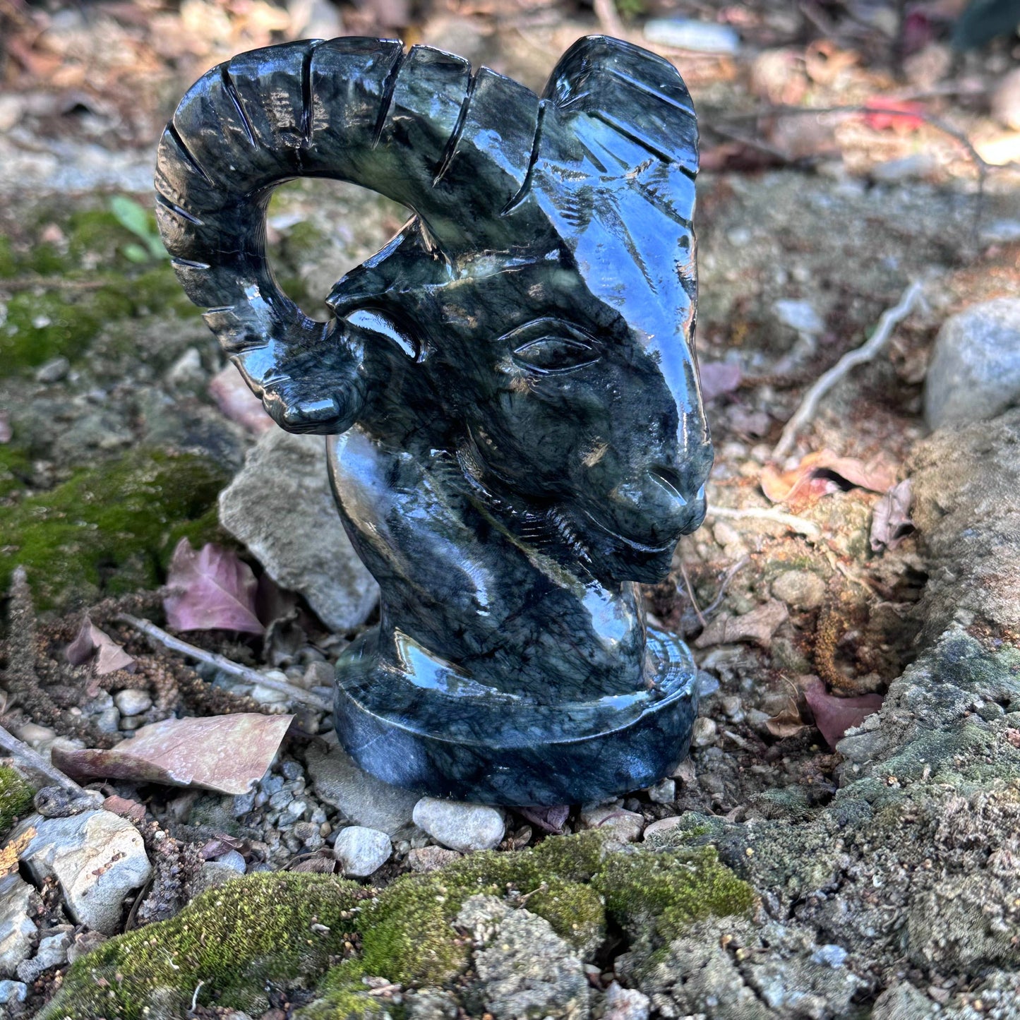 Dark Serpentine Ram Bust | Sold Individually